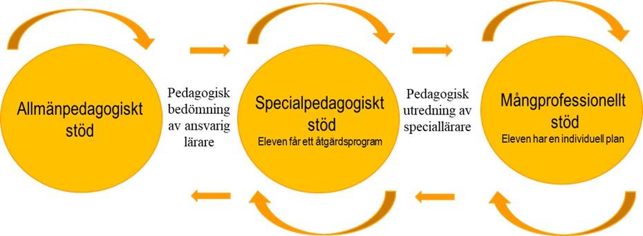 Stör för lärande och skolgång, schematisk bild