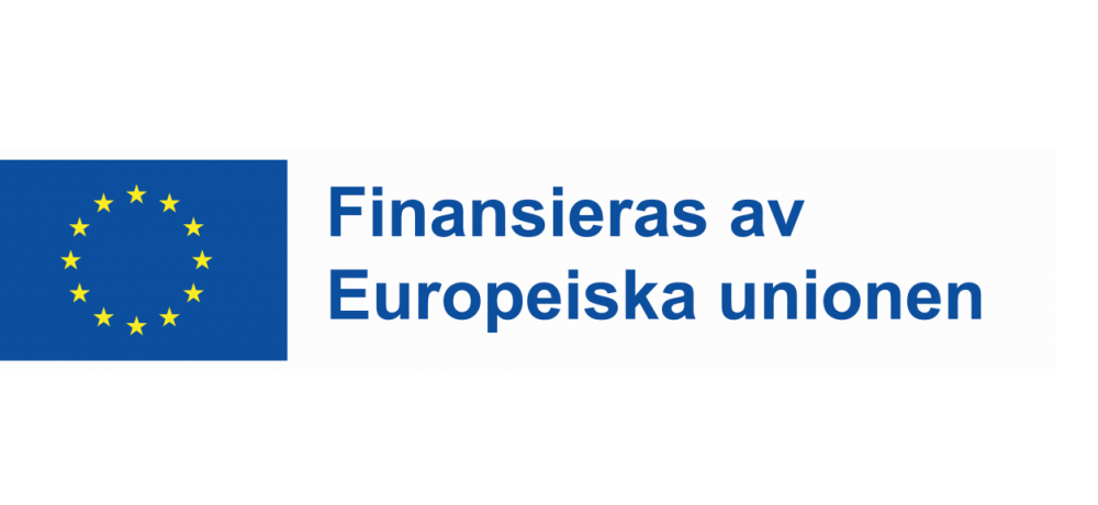 EU-flagga