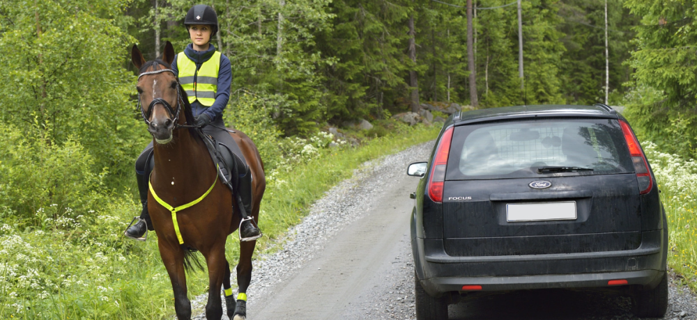 Möte mellan ryttare och bil på väg