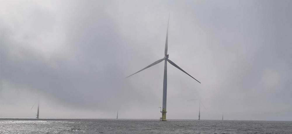 Flera vindkraftverk i havet
